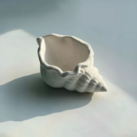 CARACOLA DE MAR MIDI