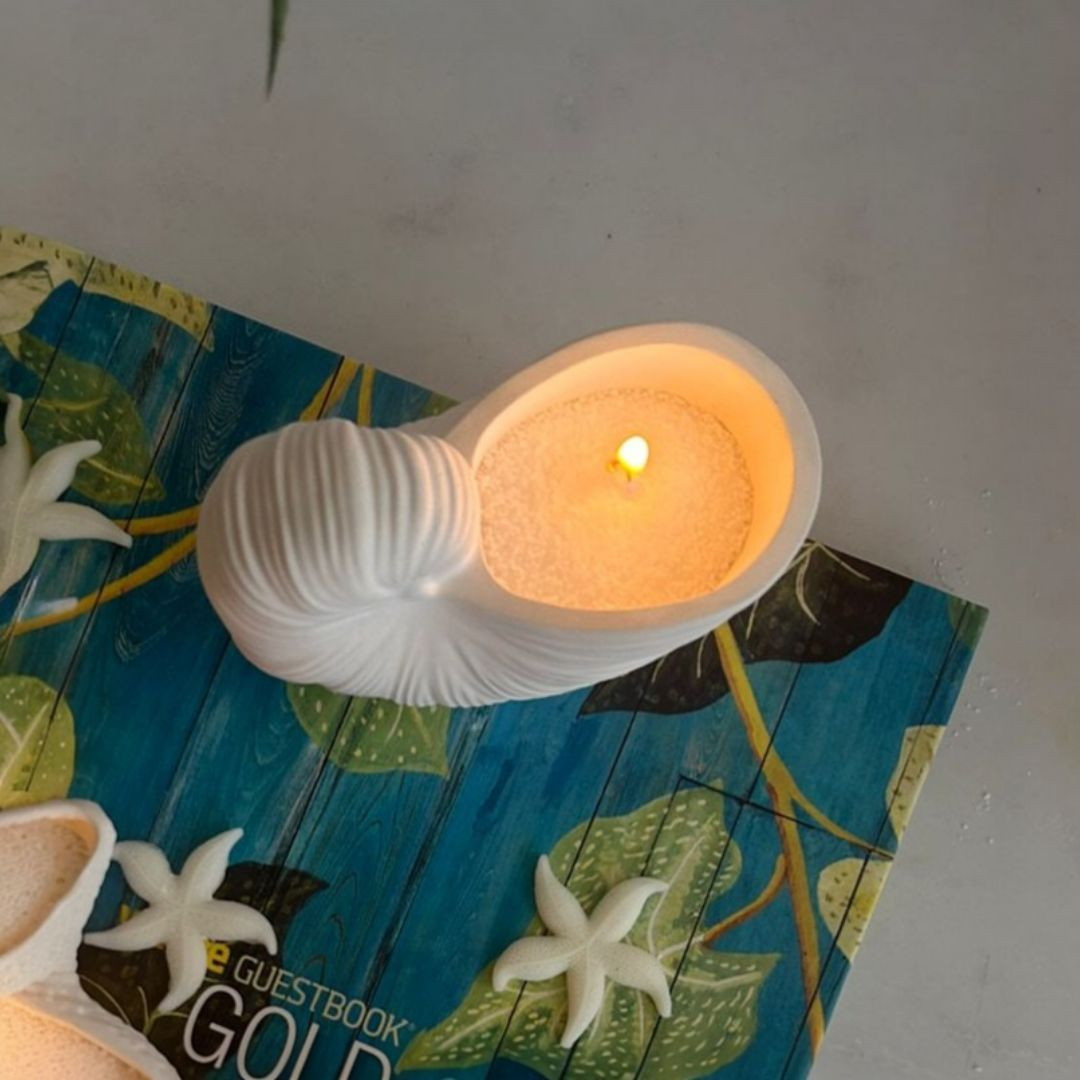 CARACOLA DE MAR JUMBO