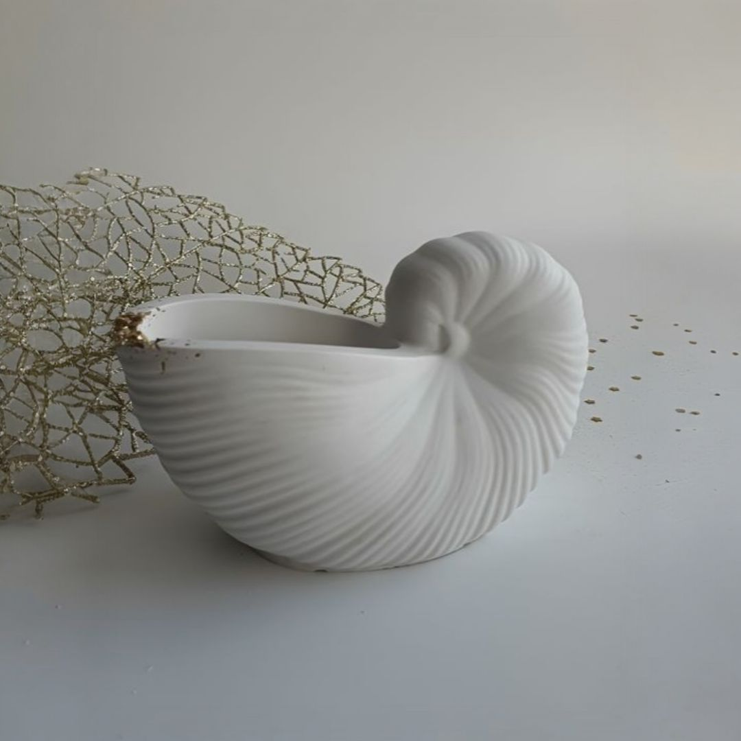 CARACOLA DE MAR JUMBO