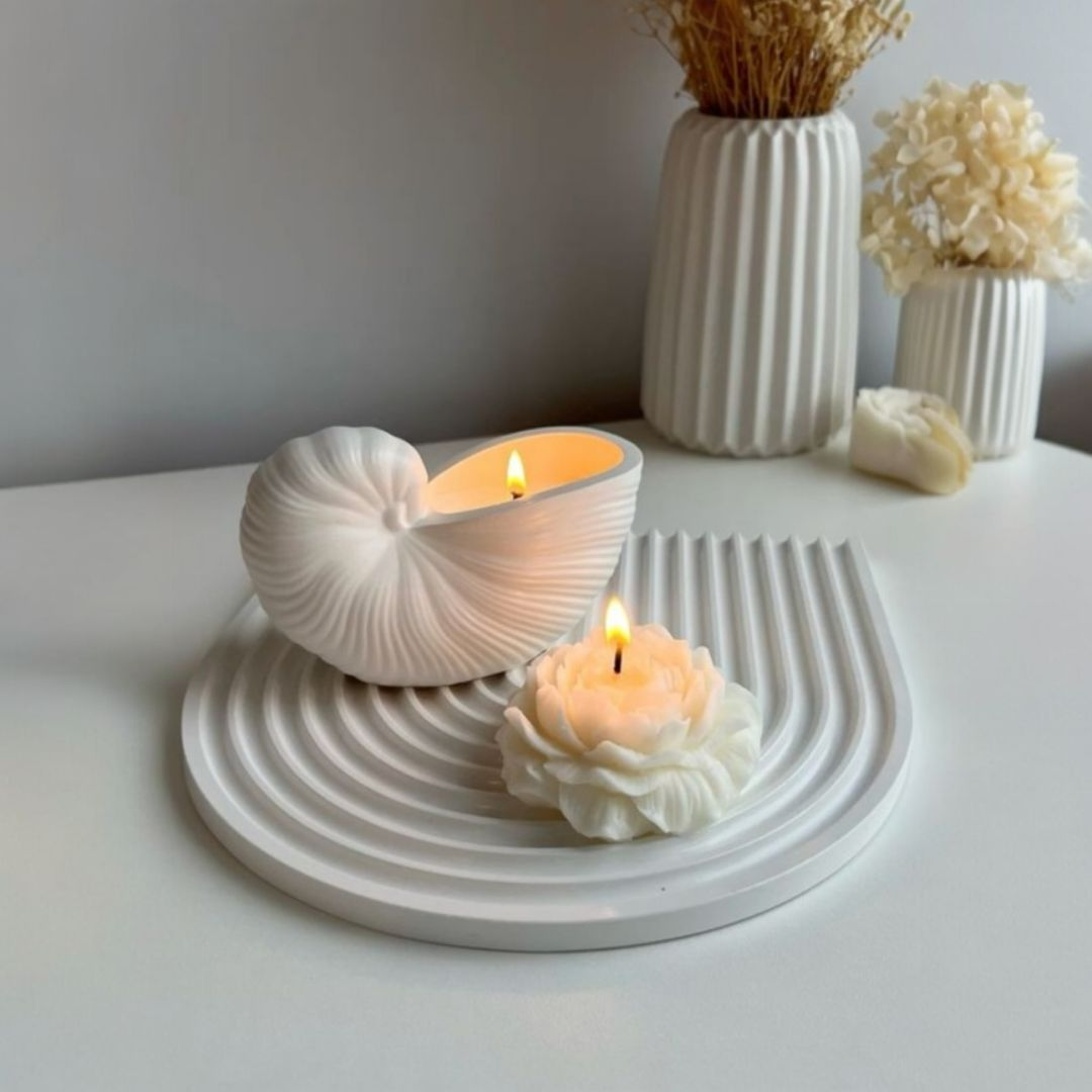 CARACOLA DE MAR JUMBO