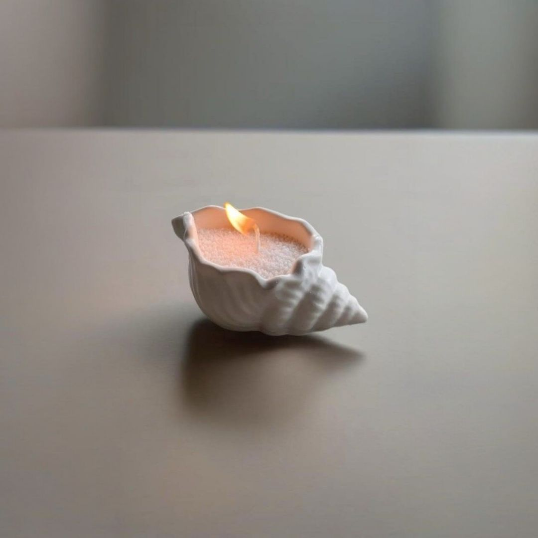 CARACOLA DE MAR MIDI