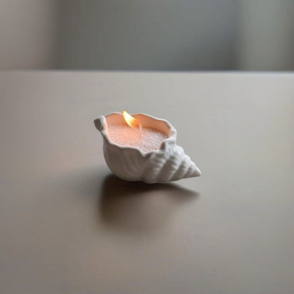 CARACOLA DE MAR MIDI