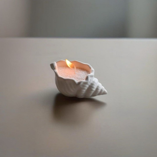 CARACOLA DE MAR MIDI