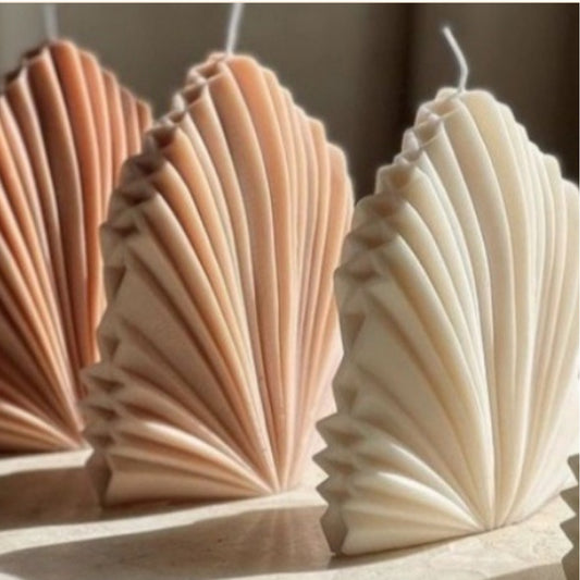 Vela Coral